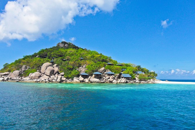 Koh Tao & Koh Nangyuan by Speed Boat (Snorkeling Trip From Koh Samui) - Insider Snorkeling Tips From Crew
