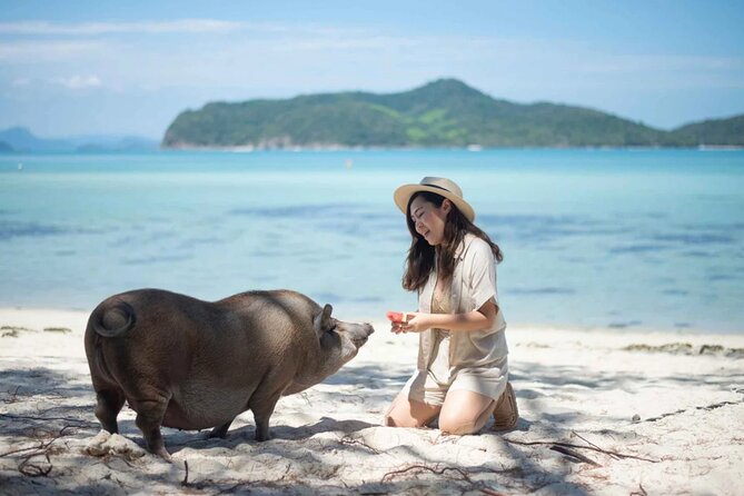 Kohsamui.Tours - Pig Island Snorkeling Eco Tour by Speed Boat - Cancellation Policy