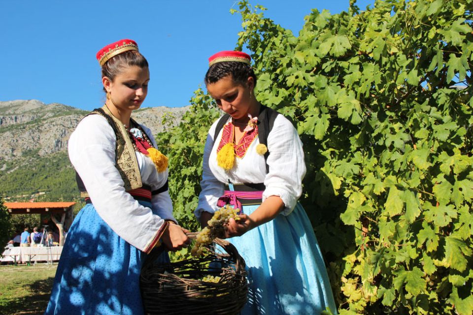 Konavle Valley: Private Half-Day Tour With Wine Tasting - Experience Highlights