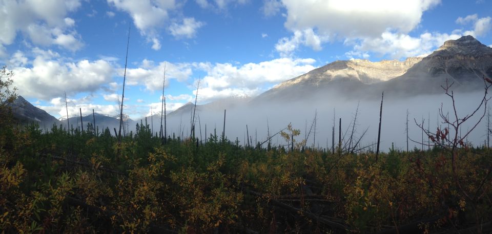 Kootenay National Park: Stanley Glacier Valley Tour - Meeting Point Details