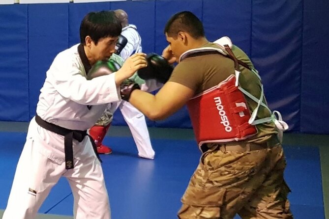 Korea Taekwondo Experience - Participant Age and Level Requirements