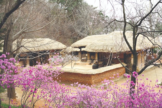 Korean Folk Village Private Tour - Cancellation Policy and Refund Terms