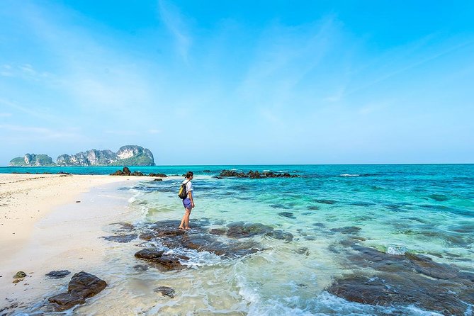 Krabi - One Day Phi Phi Island Tour By Speed Boat - Inclusions and Logistics Details