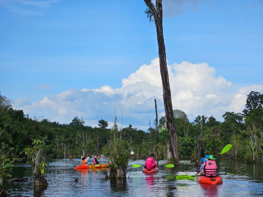 Krabi: South Kayak Klong Root Kayaking Tour - Safety Measures