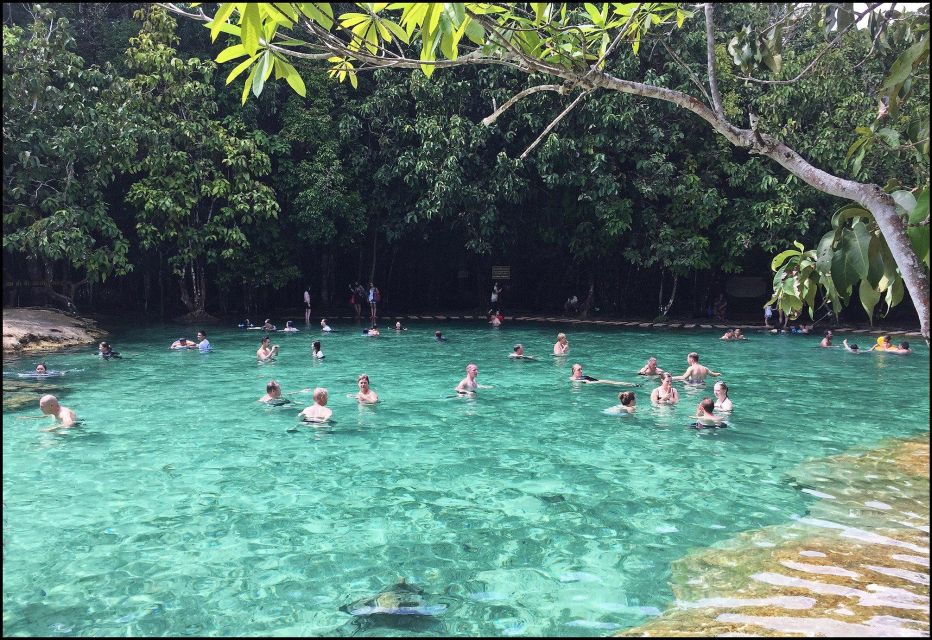 Krabi Tiger Cave , Emerald Pool, Hosspring Waterfall Jungle - Key Highlights of the Experience