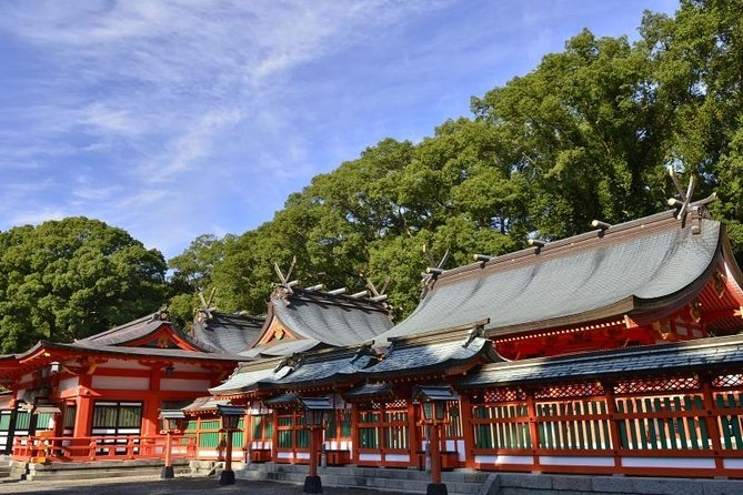 Kumano Kodo Pilgrimage Full-Day Private Trip With Government Licensed Guide - Guide and Transportation