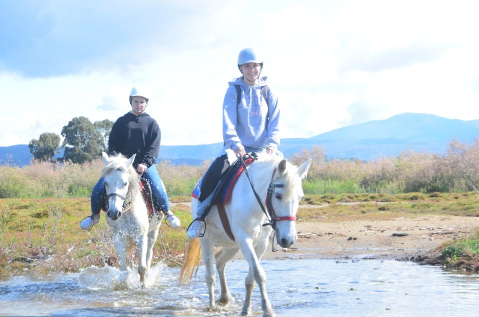 Kusadasi: Beach and Forest Horse Riding Tour - Experience Highlights