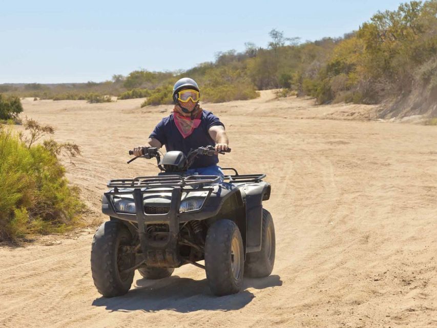 Kusadasi Quad Safari - Review Summary