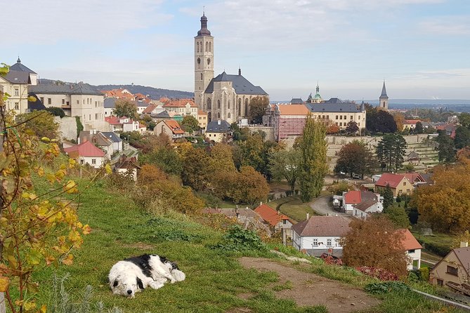 Kutná Hora and Bone Church - Private Tour With PERSONAL PRAGUE GUIDE - Inclusions