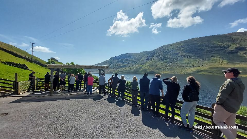 Kylemore, Sheep Farm and Connemara Private Limousine Tour - Customer Reviews and Recommendations