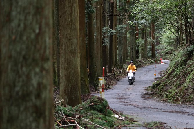 Kyoto Country Side Scooter Tour - Location and Operator Details