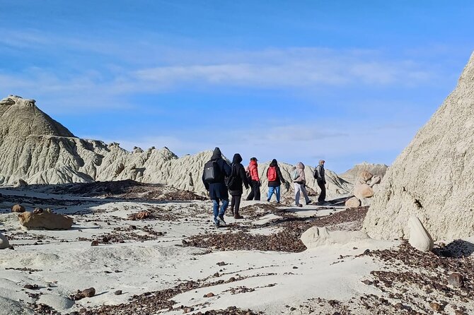 La Leona Petrified Forest Hiking Tour From El Calafate - Cancellation Policy