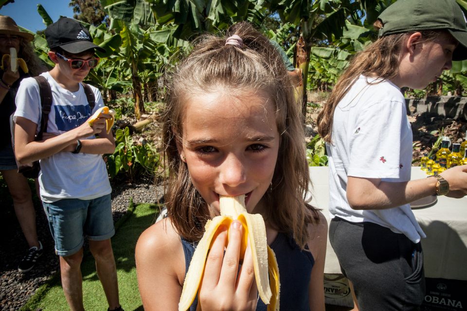 La Orotava: Ecological Banana Plantation Guided Tour - Experience Highlights