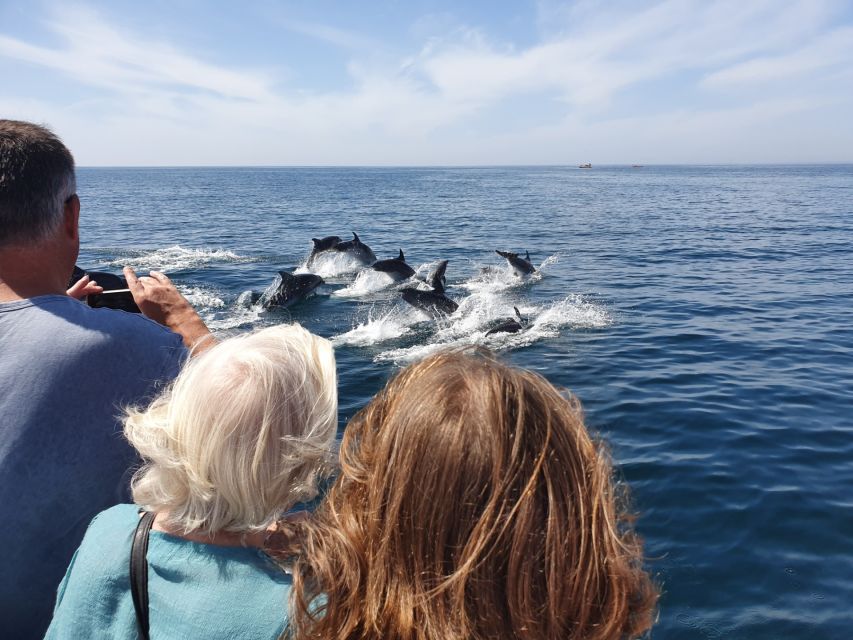 Lagos: 90-Minute Dolphin Watching by Catamaran - Experience Highlights