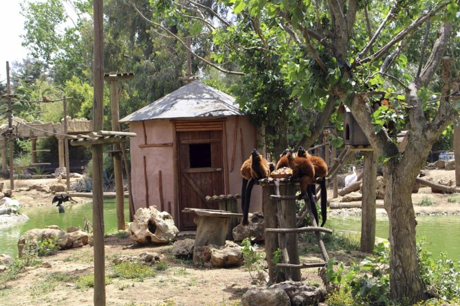 Lagos Zoo Admission Ticket - Admission Policy for Children