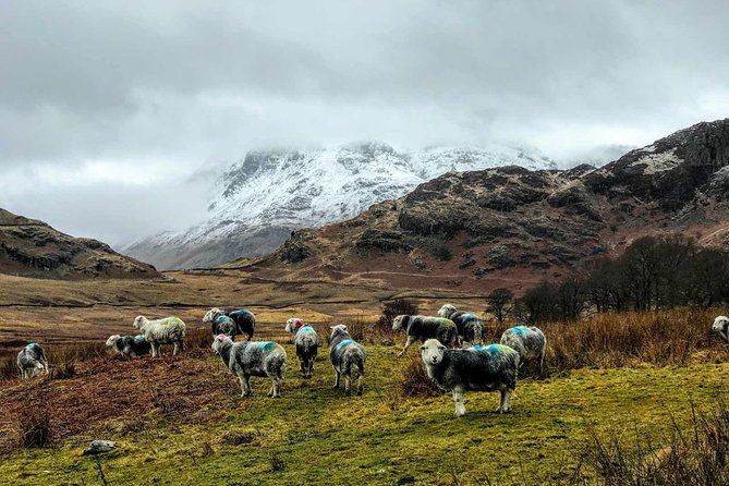 Lake District Adventure Sightseeing Day Trip From Liverpool - Inclusions and Logistics