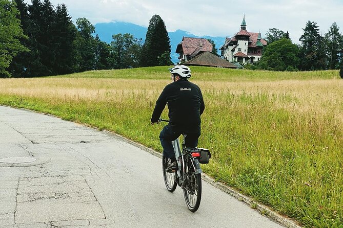 Lake Lucerne Peninsula E-Bike Tour - Additional Tour Information and Services
