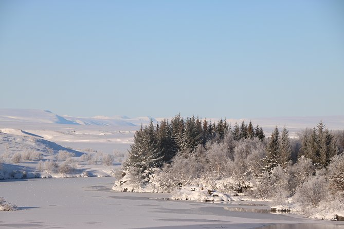 Lake Mývatn and Powerful Dettifoss Day Tour From Akureyri - Pricing and Details