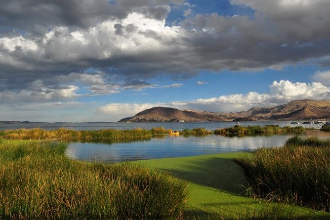 Lake Titicaca Day Tour From Puno - Island Highlights