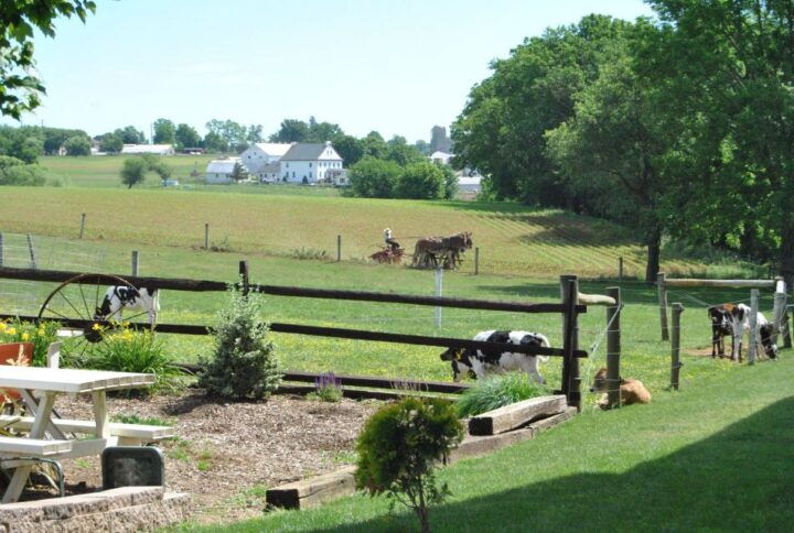 Lancaster: Amish Experience Visit-in-Person Tour of 3 Farms - Tour Experience