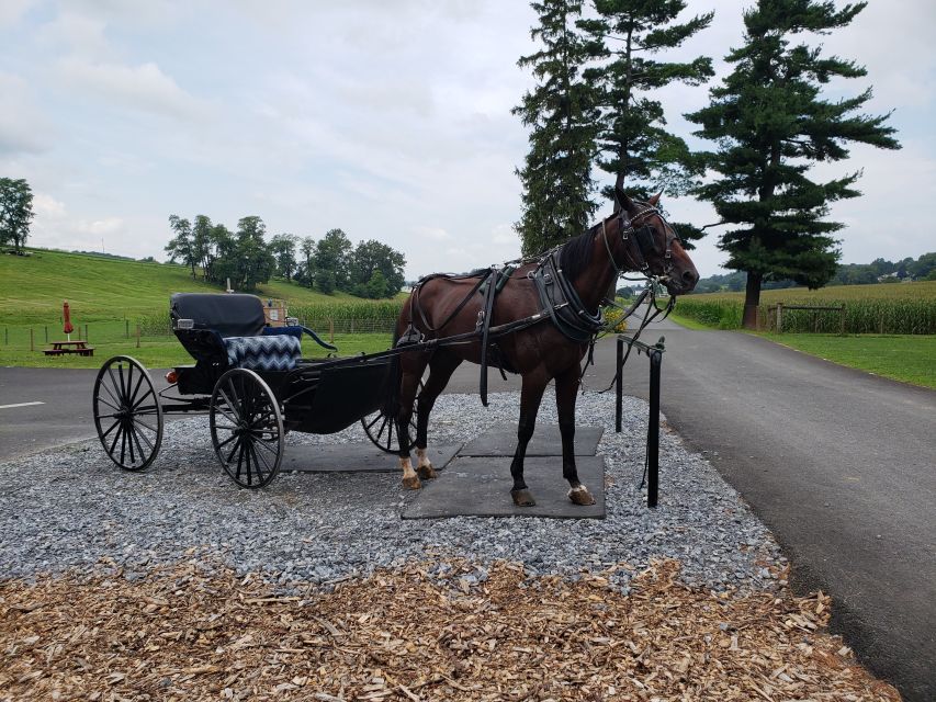 Lancaster: Downtown & Amish Country Authentic Lancaster Tour - Experience Highlights