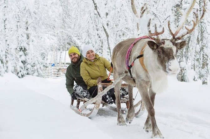 Lapland Reindeer and Husky Safari From Levi - Group Size and Cancellation Policy