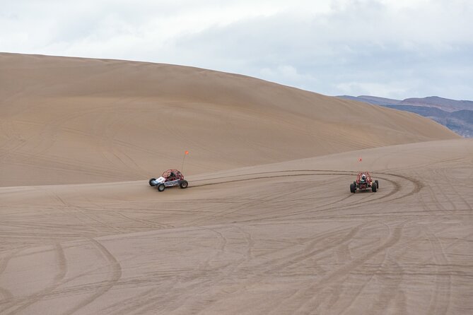 Las Vegas Big Dune Free Roam Adventure at Amargosa - Pricing and Booking Information