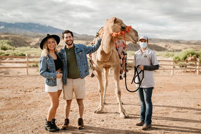 Las Vegas Safari Tram Ride and Zoo Tour at Camel Safari - Meeting Logistics and Details