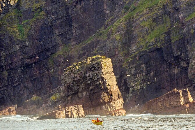 Late Season Puffin & Scenic Coastal Cruise - Expectations and Guidelines