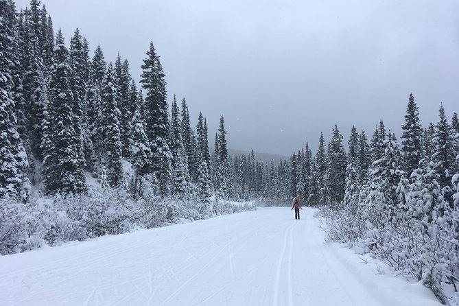 Learn to Cross Country Ski in Lake Louise - Inclusions and Logistics