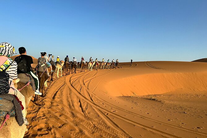 LETS GO Tour MARRAKECH to DESERT TO FES 3 Days - Day 2: Desert Exploration