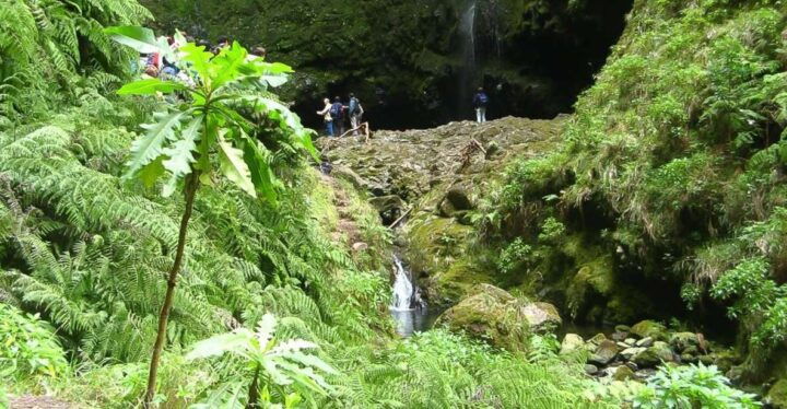 Levada Walk and Caldeirao Verde Waterfalls: Madeira - Experience Highlights