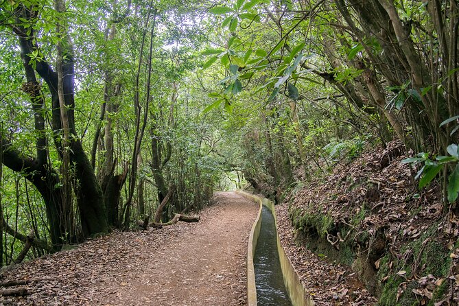 Levada Walk From Ribeiro Frio to Portela - Trail Highlights and Scenery