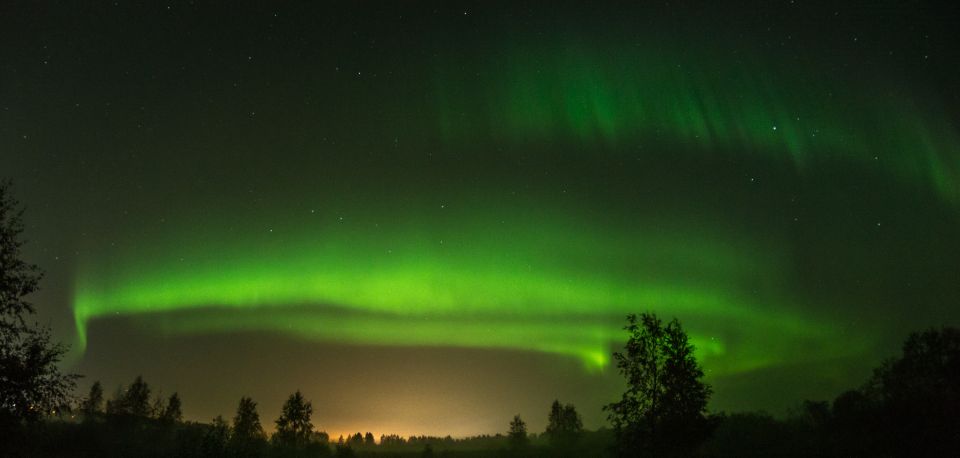 Levi: Evening Husky Sled Ride Under the Northern Lights - Experience Highlights