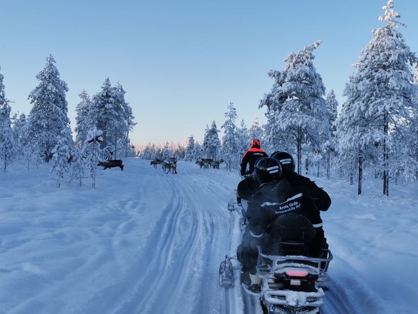 Levi: Half-day Snowmobiling Adventure - Review Summary