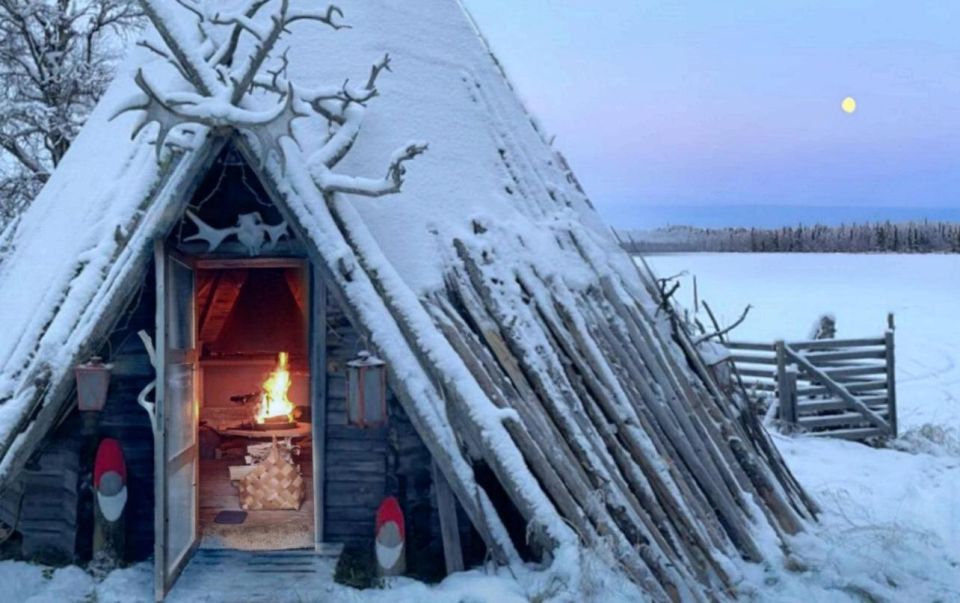 Levi: Lapland Reindeer Safari - Experience Highlights