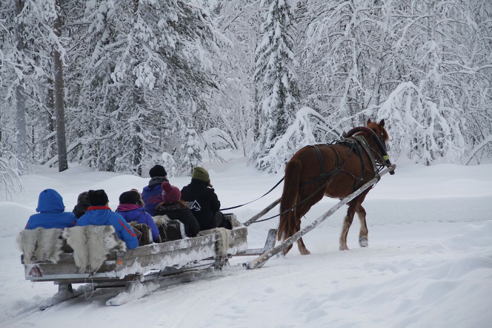 Levi, Polar Lights Tours: One Horse Open Sleigh Ride - Experience Details