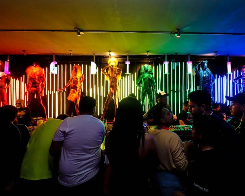 LGBTQ Nightlife Extravaganza- Drink, Sing, Dance in MxCity - Experience Highlights