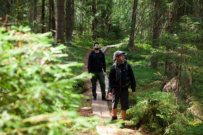 Liesjarvi National Park Taiga Forest Hiking Tour From Helsinki (Mar ) - Customer Reviews and Feedback