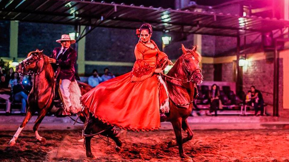 Lima: Dinner & Paso Horses Show - Experience Highlights