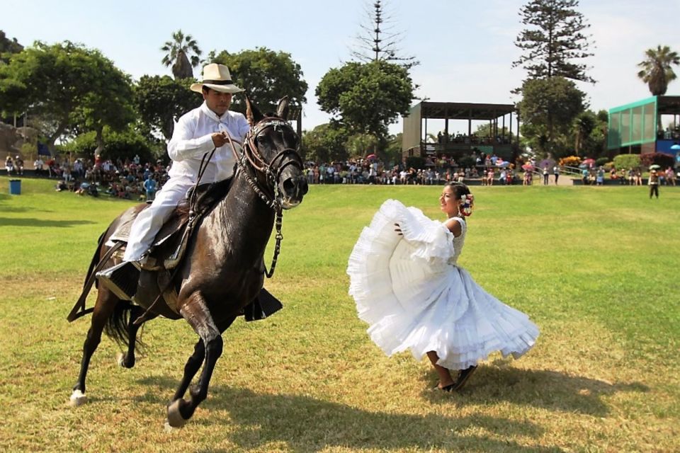 Lima: Magic Water Circuit With Dinner and Live Show - Experience Highlights