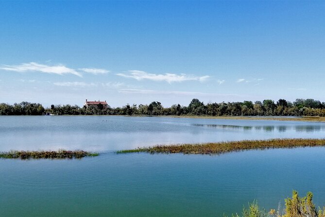 Lio Piccolo: Flamingos & Birdwatching Bike Tour in the Venetian Lagoon - Pricing and Booking
