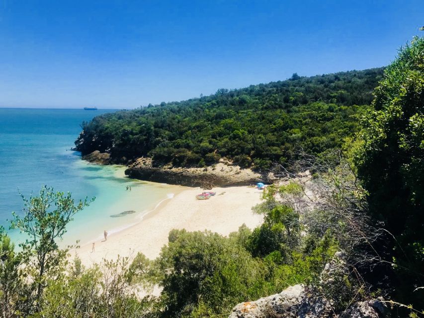 Lisbon: Full-Day Arrabida Kayak Tour With Picnic - Activity Experience