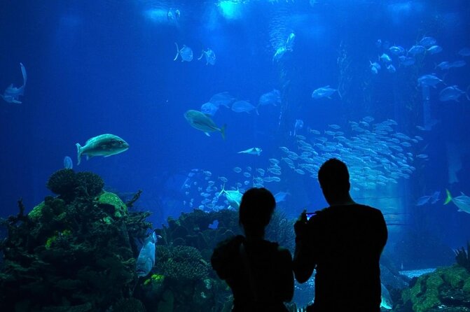 Lisbon Oceanario: Aquarium Entrance Ticket - Visitor Reviews