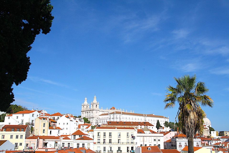 Lisbon: Private City Tour in Alfama and Chiado With Tuk Tuk - Booking Options and Pricing