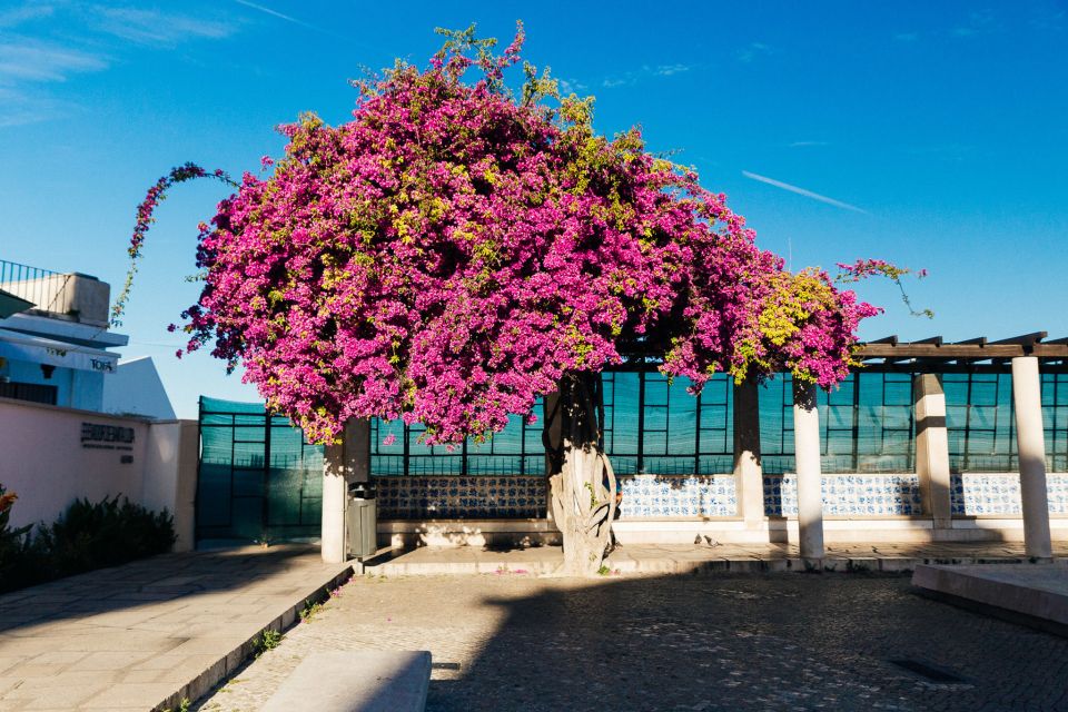 Lisbon: Private Evening Tour With Drinks & Bites in Alfama - Experience Inclusions