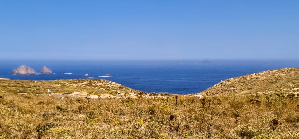 Lisbon: Private Full Day Tour to Berlengas Island - Highlights of the Tour