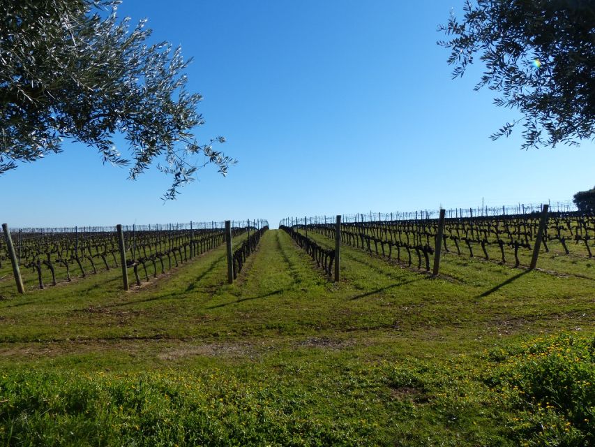 Lisbon: Private Tour Evora With Wine Tasting at the Cartuxa - Pickup Details and Inclusions