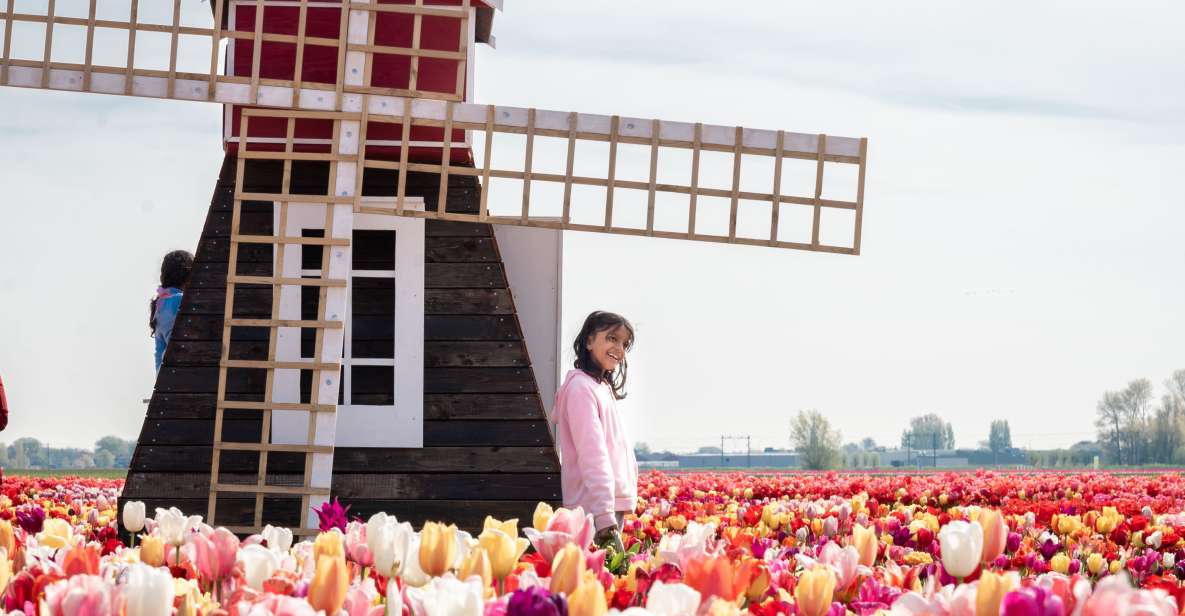 Lisse: Tulip Experience Ticket With Museum & Flower Picking - Experience Highlights