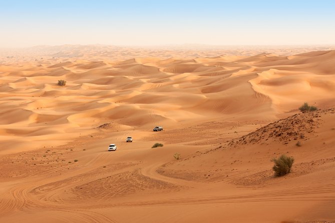 Liwa Full Day Desert Safari From Abu Dhabi - Desert Safari Itinerary